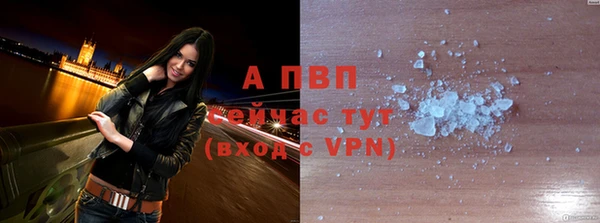 прущие крисы Магадан