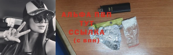a pvp Магас