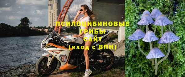 a pvp Магас