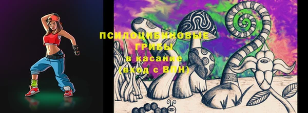 стаф Верхний Тагил